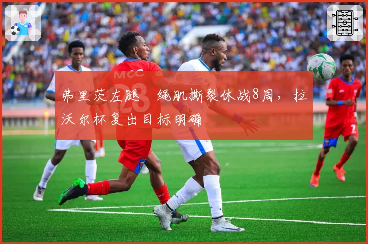 弗里茨左腿腘绳肌撕裂休战8周,拉沃尔杯复出目标明确