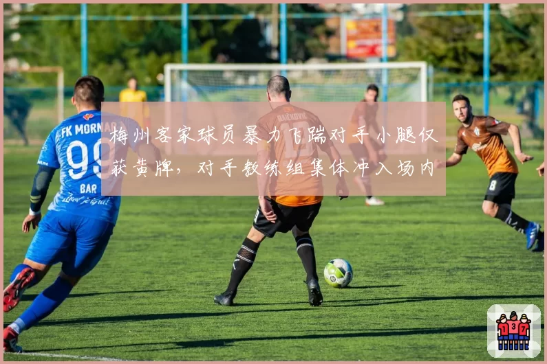 梅州客家球员暴力飞踹对手小腿仅获黄牌,对手教练组集体冲入场内抗议