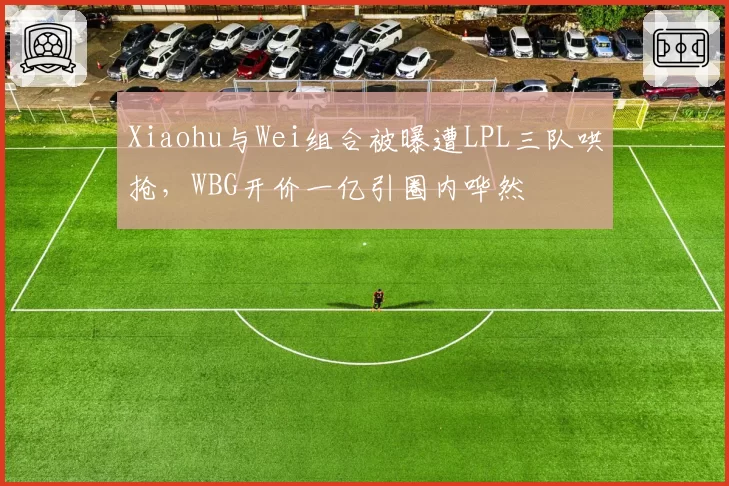 Xiaohu与Wei组合被曝遭LPL三队哄抢,WBG开价一亿引圈内哗然