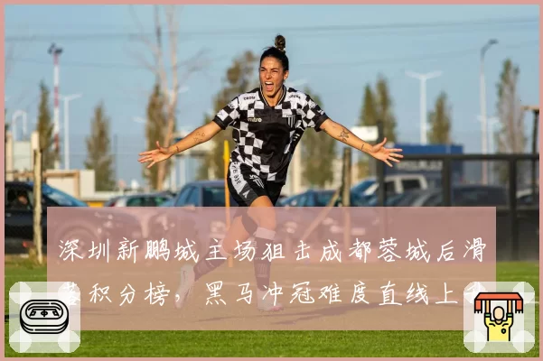 深圳新鹏城主场狙击成都蓉城后滑落积分榜，黑马冲冠难度直线上升