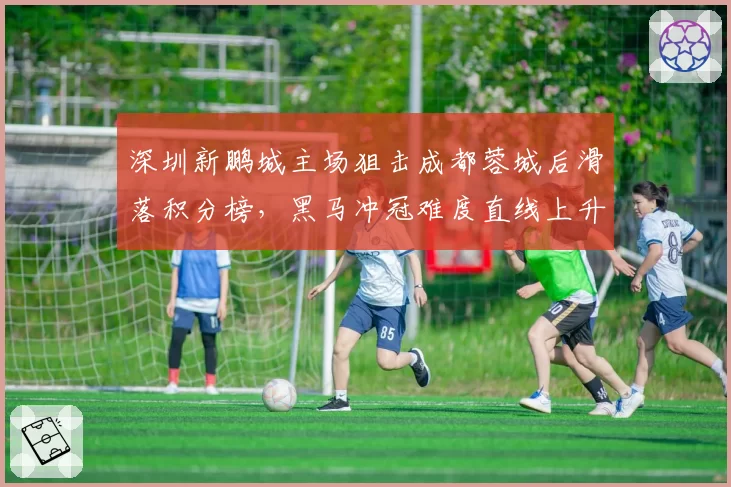 深圳新鹏城主场狙击成都蓉城后滑落积分榜,黑马冲冠难度直线上升