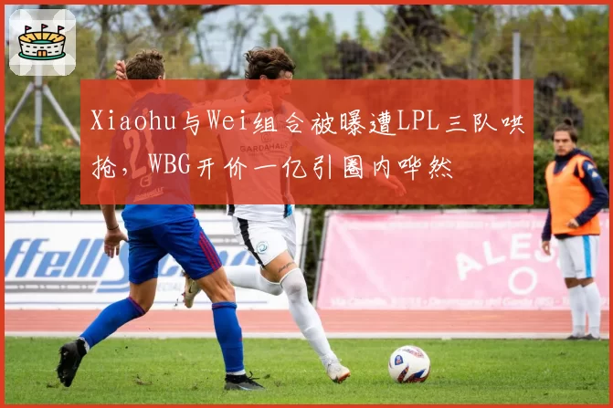 Xiaohu与Wei组合被曝遭LPL三队哄抢,WBG开价一亿引圈内哗然