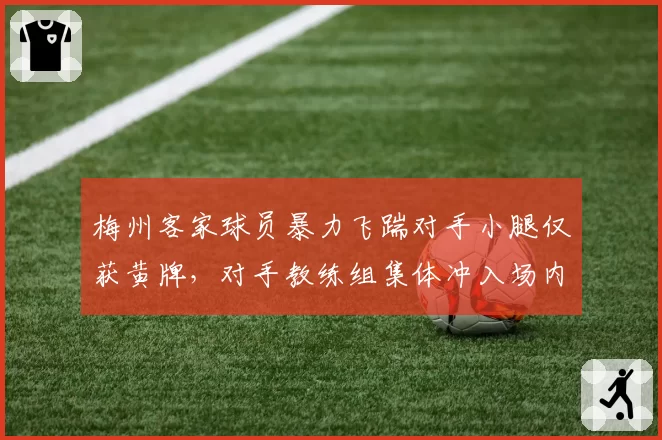 梅州客家球员暴力飞踹对手小腿仅获黄牌，对手教练组集体冲入场内抗议